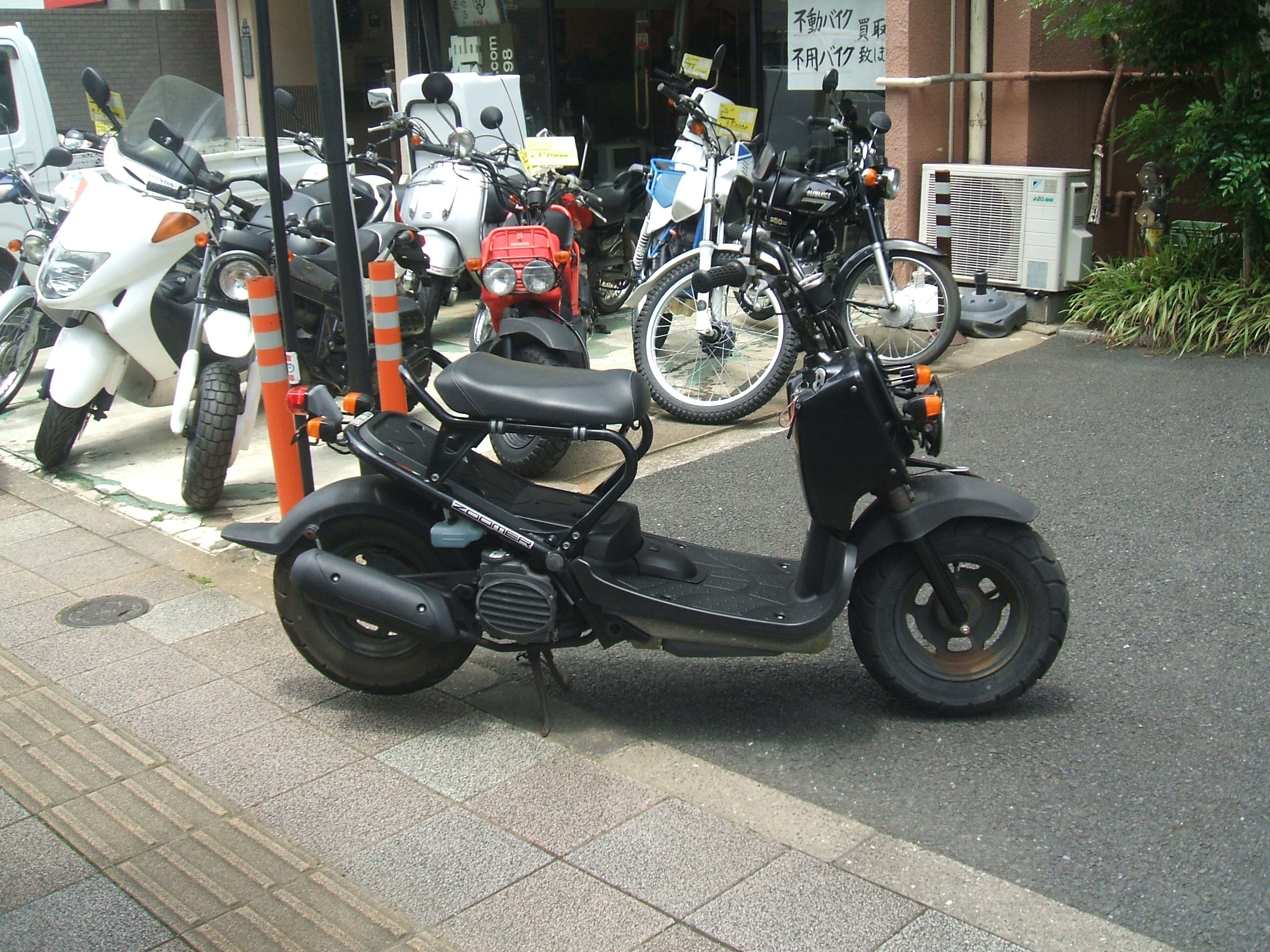 0481350.1.jpg