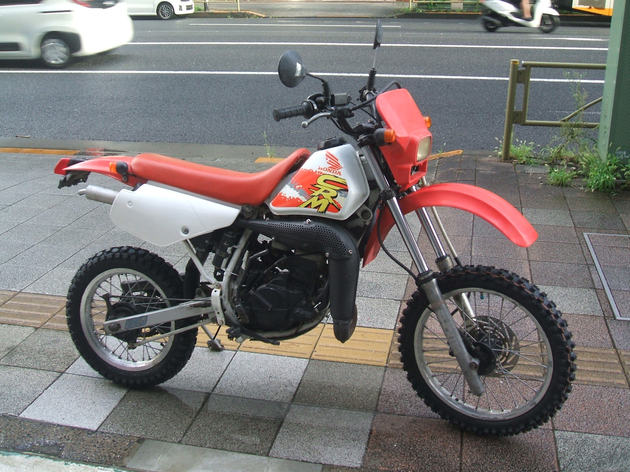 21391370.1.jpg