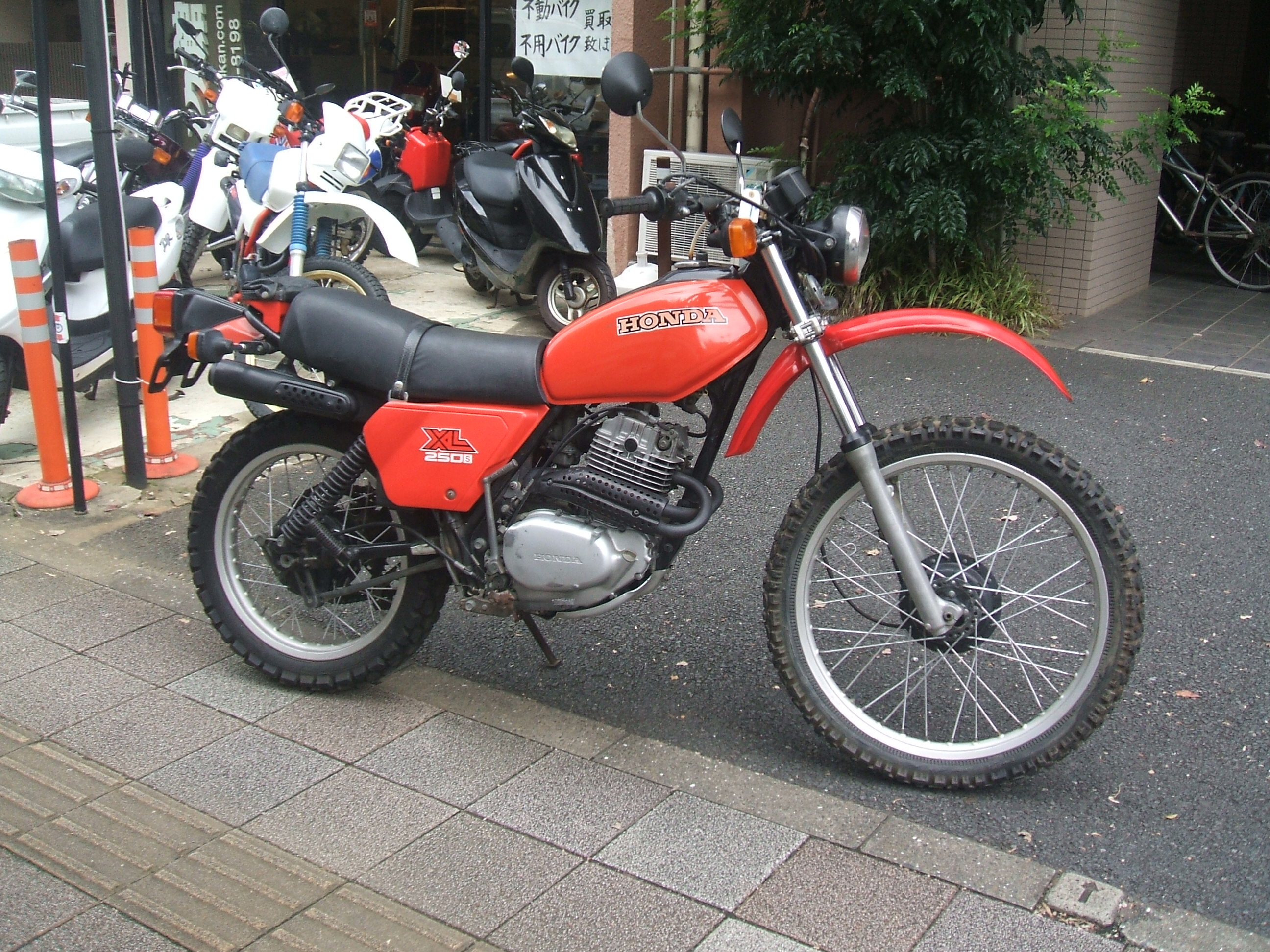 37231382.1.jpg
